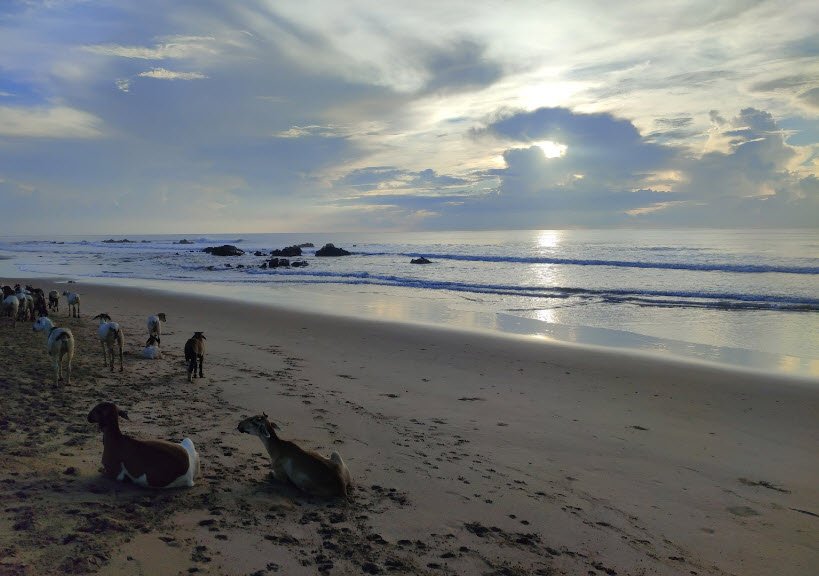 S Matchelesam Beach, Andhra Pradesh, India